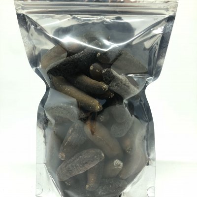 Sea Cucumber 海参 - Sand Fish 文秃参 (500g/Pkt)